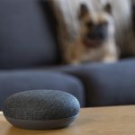 smart speaker com um cachorro deitado no sofá no fundo desfocado